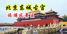 强奸欧洲美女射精图中国北京-东城古宫旅游风景区